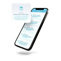 WP D002C - Netzwerkmedien-Streaming-Adapter - Silve
