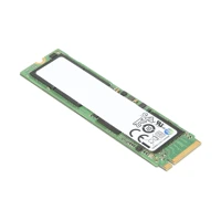 256GB SSD, M.2, NVMe