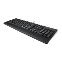 Preferred Pro II - Tastatur - USB - QWERTY - Türkis