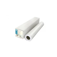 Professional Matte Canvas, Matt, 22mil, Rolle