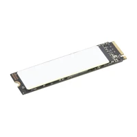 1TB SSD, M.2, NVMe