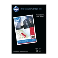 Professional Glossy Paper, Glänzend, A3 (297x