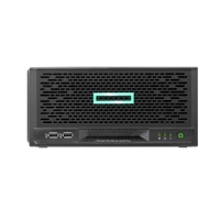 ProLiant MicroServer Gen10 Plus Performance -
