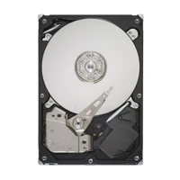 Pipeline HD ST3320311CS, 320GB -