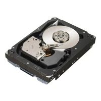 Dual Port Enterprise, 450GB -