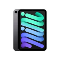 iPad mini Wi-Fi, 6. Generation, Tablet, 256GB