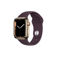 Watch Series 7 (GPS + Cellular), 41mm, Gold