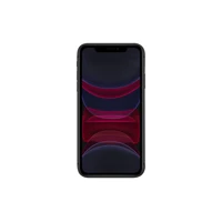 iPhone 11, 4G Smartphone, Dual-SIM / Interner