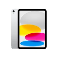 iPad Wi-Fi + Cellular 256GB - Silver 10.9-inch