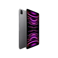 11-" iPad Pro Wi-Fi, 4. Generation, Tablet -