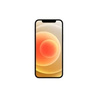 iPhone 12, 5G Smartphone, Dual-SIM / Interner