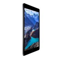 iPad Air 2  32GB grau