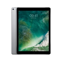 iPad Pro 12.9" LTE 256GB grau  [2017]