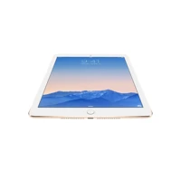 iPad Air 2  16GB grau