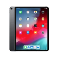 iPad Pro 12.9" LTE 256GB grau [3. Genera
