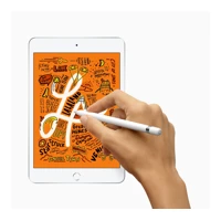 iPad mini 5 Wi-Fi + Cellular, 5. Generation -