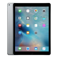 iPad Pro  32GB grau ML0F2FD/A