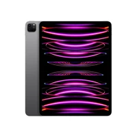 iPad Pro WiFi 128GB grau, 12,9" Tablet