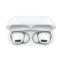 AirPods Pro, 1. Generation, True