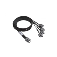 Internes SAS-Kabel, OCuLink (SFF-8611) zu SATA -
