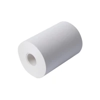 Entfernbarer Klebstoff - Roll (10.6 cm x 51.8 m)