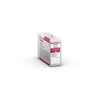 SureColor SC-P800: A2 Drucker mit Rollenzuführung