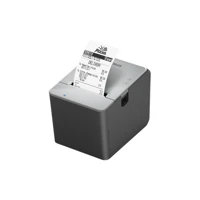 TM L100 (101), Belegdrucker, Thermozeile, 8cm
