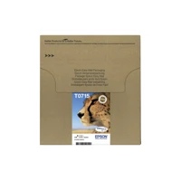 Tinte T071 Easy Mail Packaging CMYK
