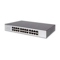 Professional Fast Ethernet N-Way Switch DN-60021-2