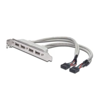 USB-Konsole, 10 PIN IDC Buchse bis USB Buchse, 25cm -