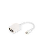 DisplayPort-Adapter, Mini DisplayPort Stecker bis