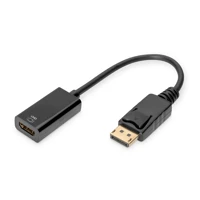 Videoadapter, DisplayPort Stecker eingerastet zu