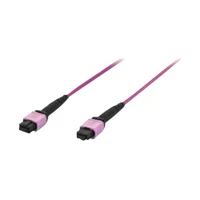 Professional - Patch-Kabel - MPO-Multi-Modus (W) zu