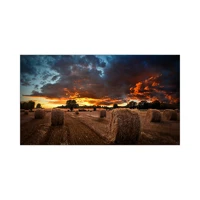 VM55B-U, 140cm (55") Diagonalklasse VMB-U Series