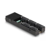 Schnittstellenadapter, SATA 6Gb/s, M.2 Card