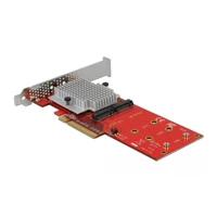 PCI Express Card > 2x internal M.2 -