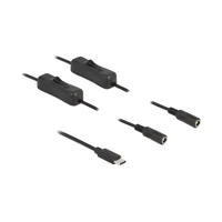 DeLock Netz-Splitter, USB-C Stecker zu Gleichstromstecker 5
