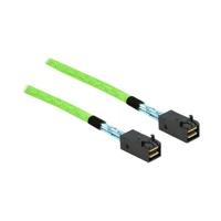 DeLock Internes SAS-Kabel, SAS 64Gbit/s, gerade