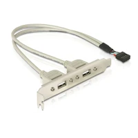 DeLock USB-Konsole, 10-poliger USB-Header Stecker zu USB Buchse