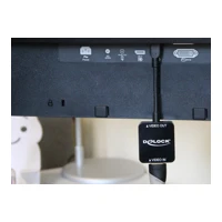 HDMI/DisplayPort Adapter