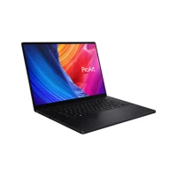 ProArt P16 H7606WP-RJ090W AMD Ryzen AI 9 HX 370 Not