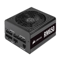 RM Series RM650, Netzteil (intern), ATX12V 2.52/
