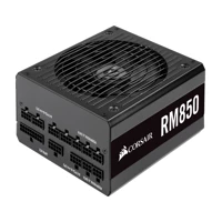 RM Series RM850, Netzteil (intern), ATX12V 2.52/