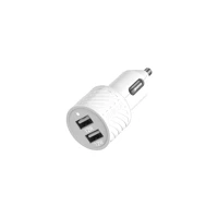 Auto-Netzteil - 12 Watt - 2.4 A - 2 Ausgabeanschlus