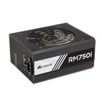 RMi Series RM750i, Netzteil (intern), ATX12V 2