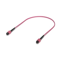 Indoor OM4 multi-mode fiber - 0,5 m - LWL