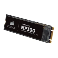 Force Series MP300 120GB, M.2