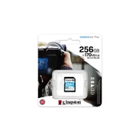 Canvas Go! Plus, Flash-Speicherkarte, 256GB -