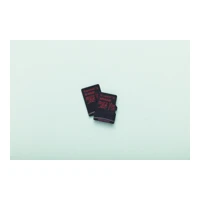 Canvas React R100/W80 microSDXC 256GB UHS-I U3 A1