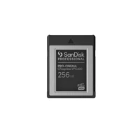 Flash-Speicherkarte, 256GB, CFexpress Typ B -
